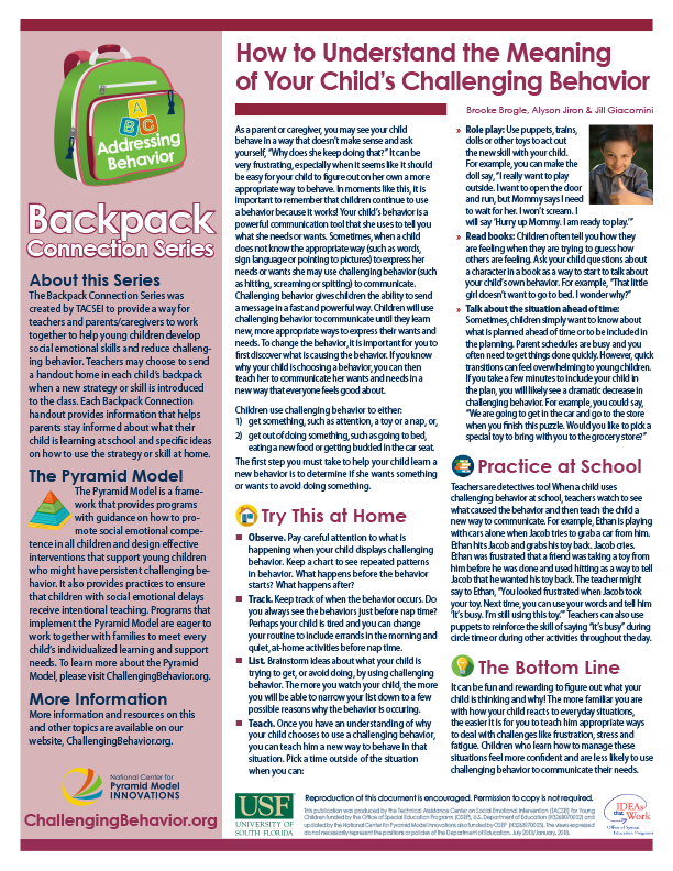 Addressing Behavior - How to Understand the Meaning of Your Child's Challenging Behavior