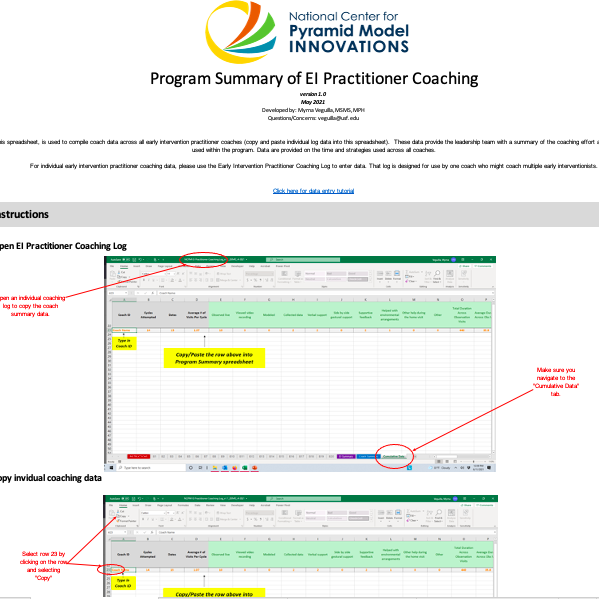 Program Summary of Early Intervention Practitioner Coaching