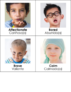 Feeling Faces Large Cards thumbnail