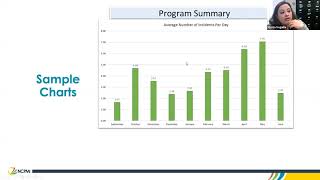 Using the Behavior Incident Report System (BIRS) to Support Practitioners Around Children Who Engage in Challenging Behavior