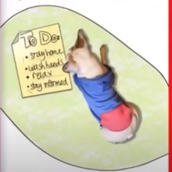 Rosie Practices Social Distancing Read Along