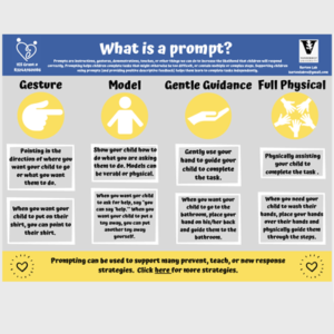 Thumbnail for Barton Lab - Prompting procedures