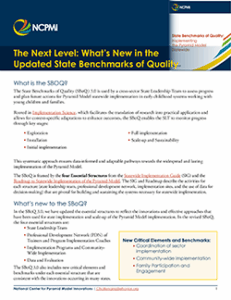 Thumbnail image of page one of The Next Level: What's New in the Updated State Benchmarks of Quality resource sheet