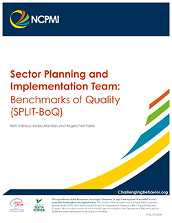 Thumbnail image of the cover page of the Sector Planning and Implementation Team: Benchmarks of Quality (SPLIT-BoQ)